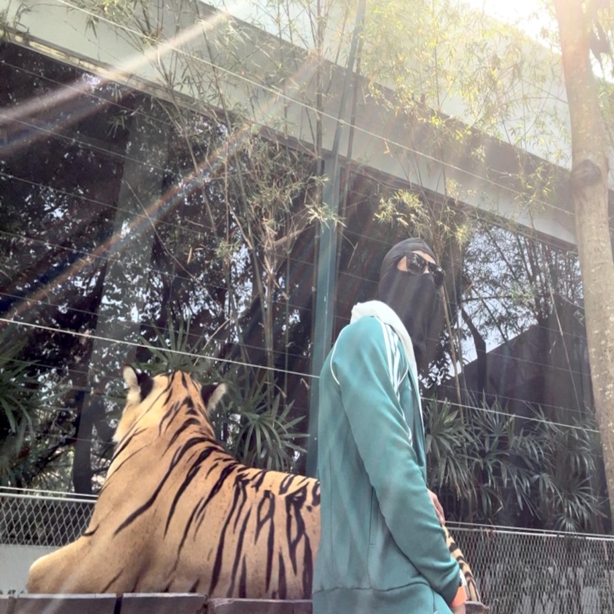 Consistency Currency: The Call of the Wild official cover